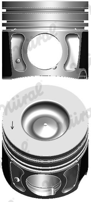 NÜRAL 87-446400-00 Piest