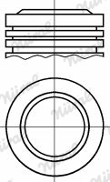 NÜRAL PI0113108DP STD Πιστόνι