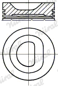 NÜRAL PI1611100DP STD Piston for CITROËN PEUGEOT