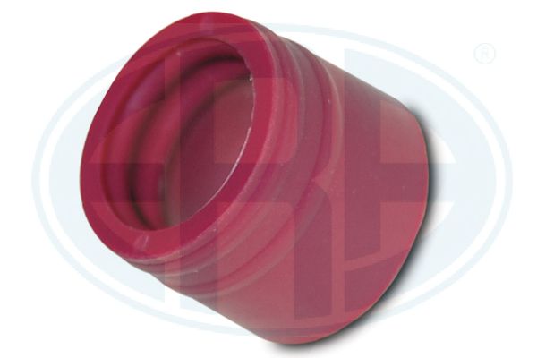 ERA 666096 Screw Plug