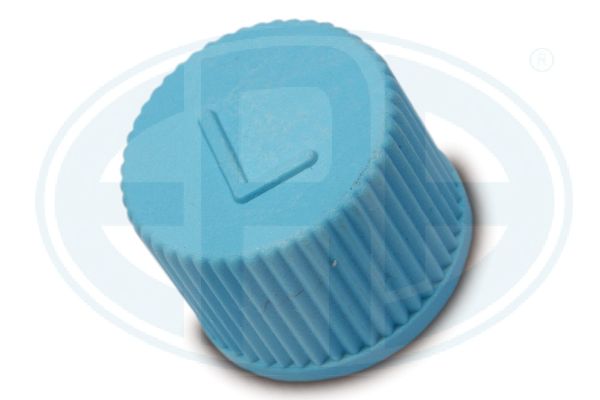 ERA 666098 Screw Plug