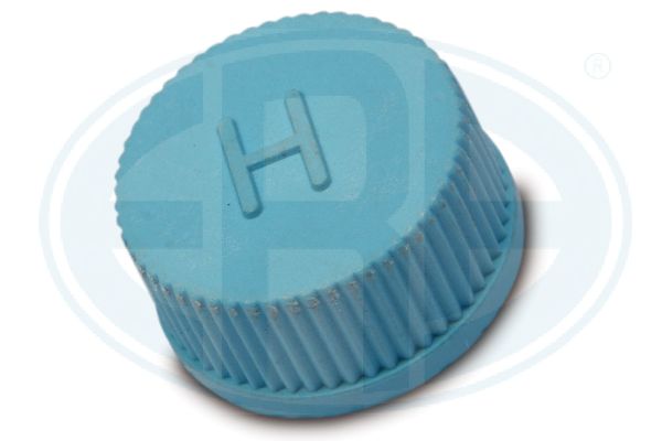 ERA 666099 Screw Plug