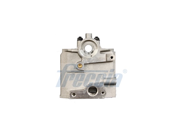 FRECCIA CH17-1071 Κυλινδροκεφαλή for VW