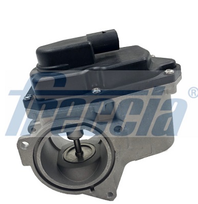 FRECCIA EGR12-123 AGR-szelep AUDI SEAT SKODA VW