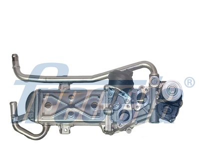 FRECCIA EGR12-127 AGR-szelep AUDI SEAT SKODA VW