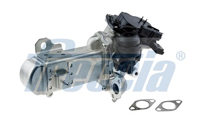 FRECCIA EGR12-213 Μονάδα AGR for CITROËN FORD PEUGEOT