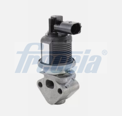 FRECCIA EGR12-220 Βαλβίδα AGR for AUDI SEAT SKODA VW
