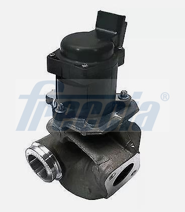 FRECCIA EGR12-222 Βαλβίδα AGR for CITROËN FIAT FORD MAZDA MINI PEUGEOT SUZUKI VOLVO