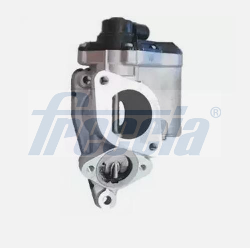 FRECCIA EGR12-223 Βαλβίδα AGR for RENAULT