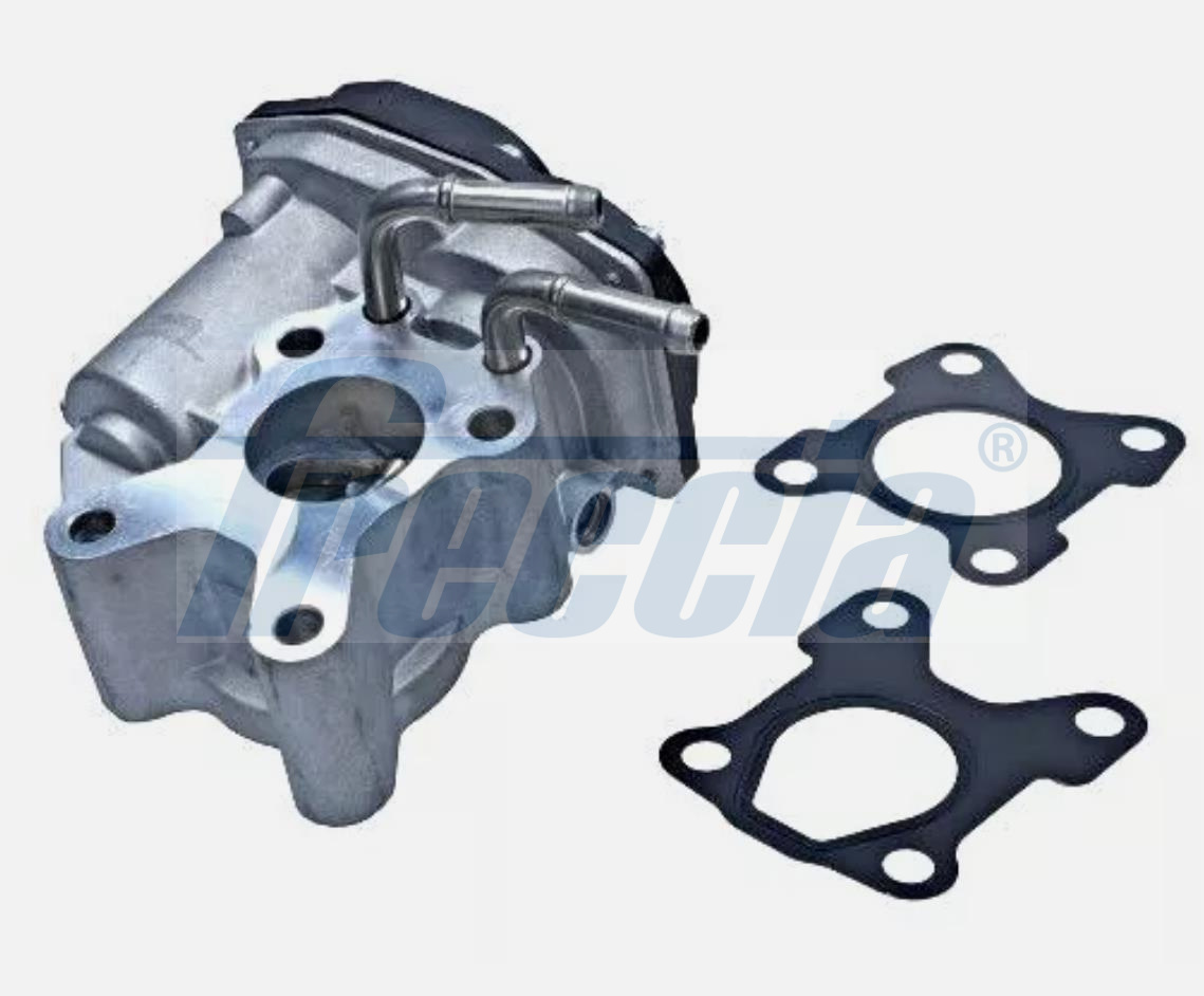 FRECCIA EGR12-224 Βαλβίδα AGR for NISSAN