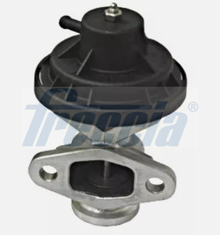 FRECCIA EGR12-227 Βαλβίδα AGR for SEAT SKODA VW