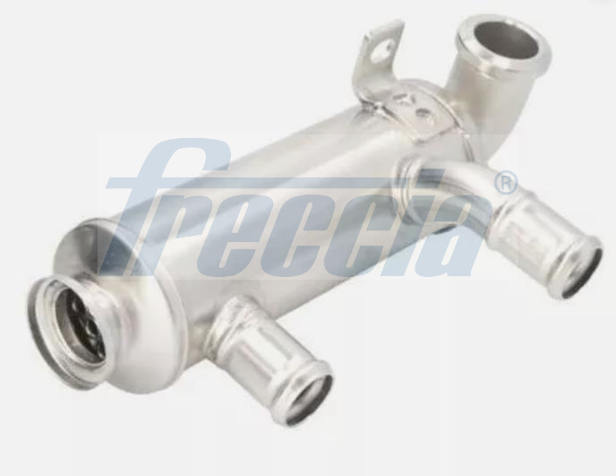 FRECCIA EGR12-229 Βαλβίδα AGR for FORD