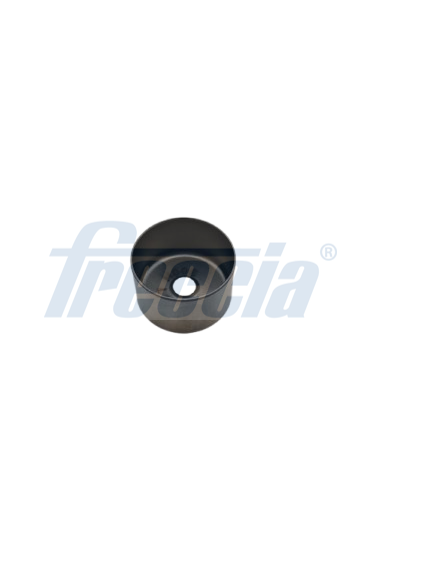 FRECCIA PI 03-177 Ωστήριο βαλβίδας Πλευρά εισαγωγής Πλευρά εξαγωγής for DACIA MERCEDES-BENZ NISSAN RENAULT SMART