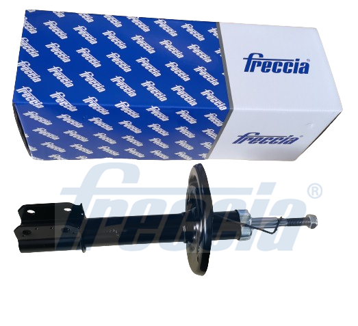 FRECCIA SA20-1100 Αμορτισέρ 1. Μπροστινός άξονας for DACIA RENAULT
