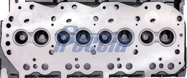 FRECCIA CH17-1120 Κυλινδροκεφαλή for NISSAN