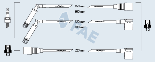 FAE 83800 Kit cavi accensione