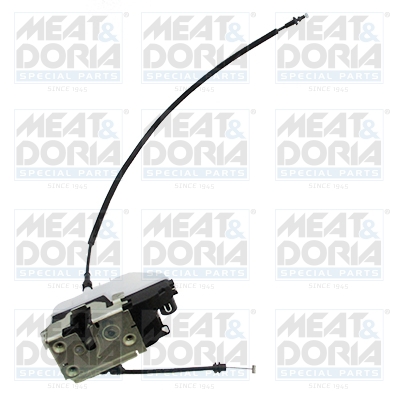 MEAT & DORIA 31636...