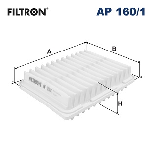 FILTRON AP 160/1 Filtro aria