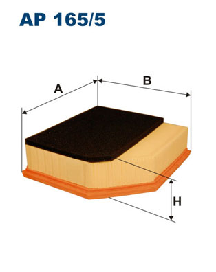 FILTRON AP 165/5 Filtro aria
