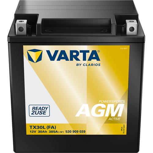VARTA 530909039K542 Starter Battery for HARLEY-DAVIDSON
