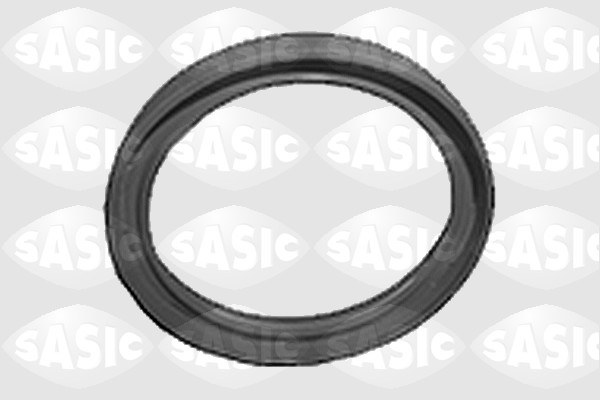 SASIC 0742072 Paraolio, Cambio manuale-Paraolio, Cambio manuale-Ricambi Euro