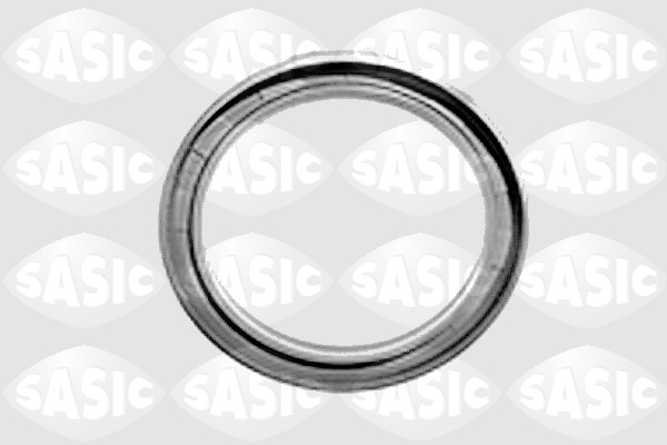 SASIC 1092222 Paraolio, Cambio manuale