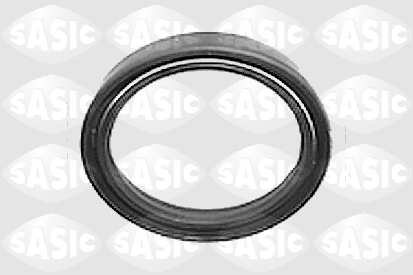 SASIC 3463063 Paraolio, mozzo ruota