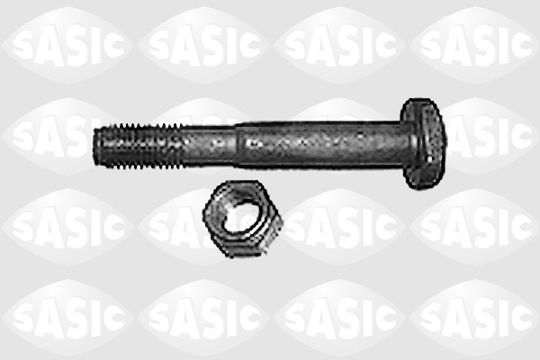 SASIC 4000114 Βίδα μπιέλας for RENAULT