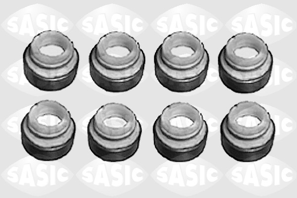 SASIC 4001072S Kit guarnizioni, Stelo valvola