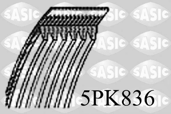 SASIC 5PK836 Cinghia Poly-V-Cinghia Poly-V-Ricambi Euro