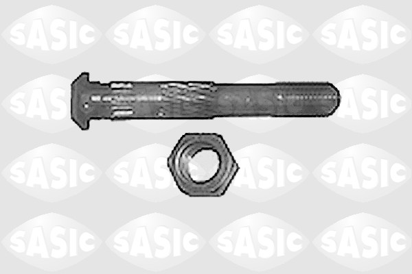 SASIC 6070170 Βίδα μπιέλας for CITROËN PEUGEOT