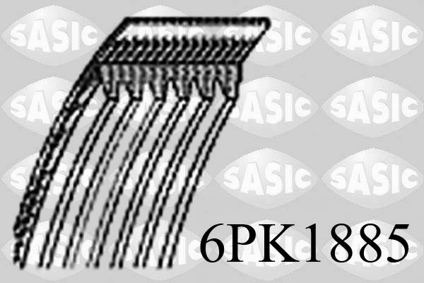 SASIC 6PK1885 Cinghia Poly-V
