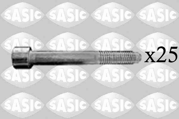 SASIC 8700033 Upínacia skrutka zvislého alebo vodiaceho čapu