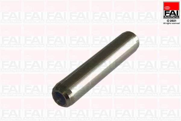 FAI AutoParts BFG033 Guida...