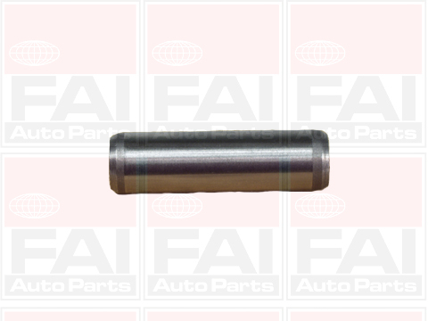 FAI AutoParts BFG125 Guida...