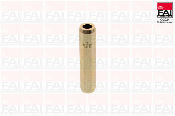 FAI AutoParts BFG3314 Guida...