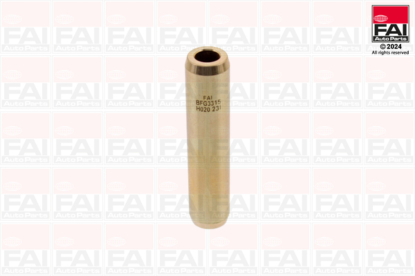 FAI AutoParts BFG3315 Guida...