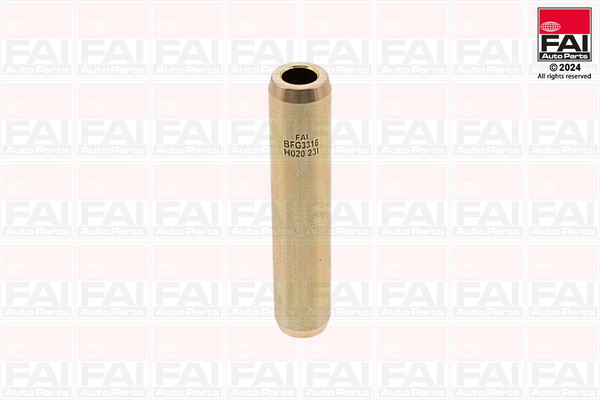 FAI AutoParts BFG3316 Guida...