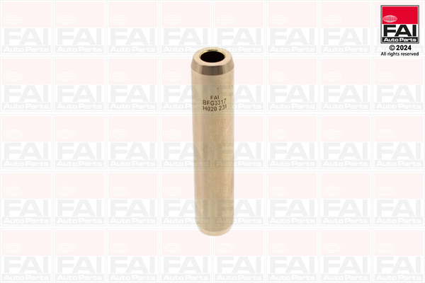 FAI AutoParts BFG3317 Guida...