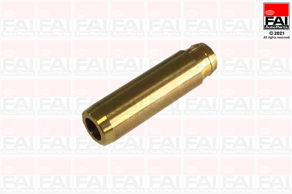 FAI AutoParts BFG3318 Guida...