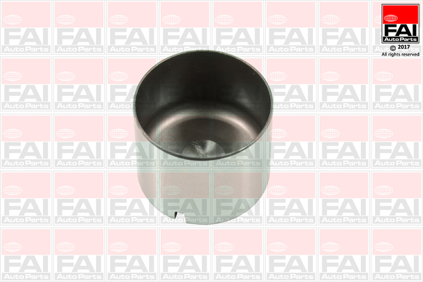 FAI AutoParts BFS100 Punteria
