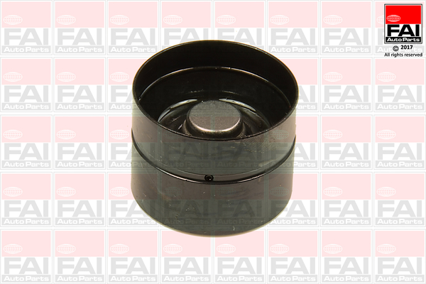 FAI AutoParts BFS101 Punteria