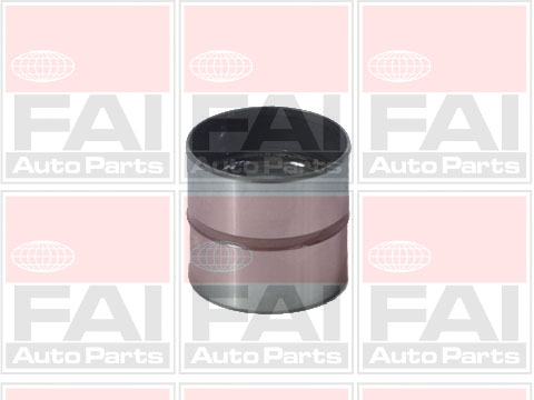 FAI AutoParts BFS128 Punteria