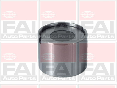 FAI AutoParts BFS144 Punteria