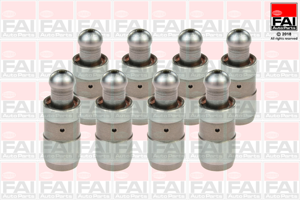 FAI AutoParts BFS174 Punteria