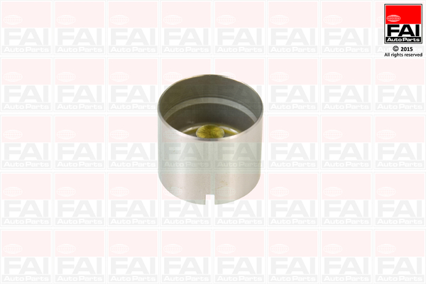 FAI AutoParts BFS79S Punteria