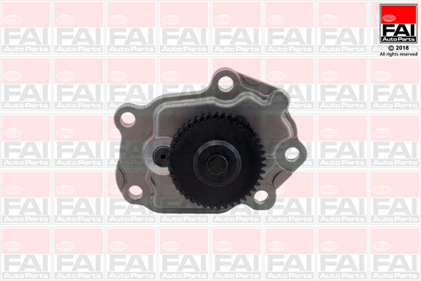 FAI AutoParts OP244 Pompa olio