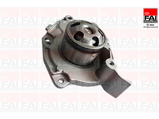 FAI AutoParts WP6599 Pompa...