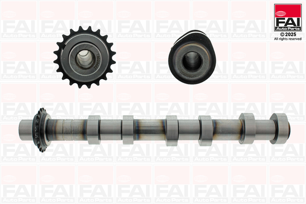 FAI AutoParts C590 Albero a...