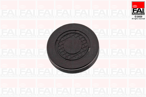 FAI AutoParts RMG880B Τάπα, τρύπα τοποθέτησης άξονα των πλήκτρων των βαλβίδων for DACIA NISSAN OPEL RENAULT VAUXHALL